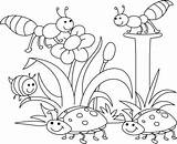 Bug Coloring Pages Getcolorings Bugs Spring sketch template
