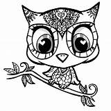 Owl Cute Coloring Pages Printable Azcoloring Via sketch template