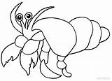 Crab Hermit Coloring Pages Printable Sea Crabs Cartoon Kids Cool2bkids Activities Sheets Template Color Drawing Getdrawings sketch template