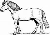 Horse Coloring Pages Colouring Only sketch template