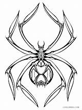 Spinne Widow Spinnen Arañas Malvorlage Malvorlagen Clipartmag Cool2bkids Araña Bedroom sketch template