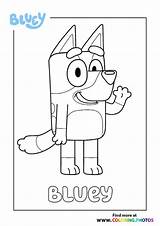 Bluey Colouring Rusty Indy Clipart Toddlers sketch template