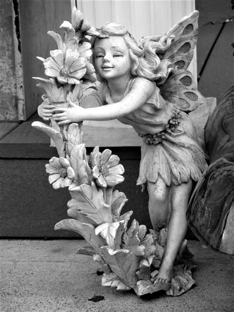 affectionate fairy hugs  flowering stalk    entrance