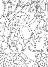 Jungle Monkey Coloring Monkeys Cute Pages Branches Lianas Among Leaves Adult Little Animals sketch template