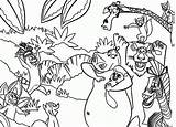 Coloring Madagascar Pages Penguins Colouring Lemur Jungle Animals Popular Coloringhome Kids sketch template
