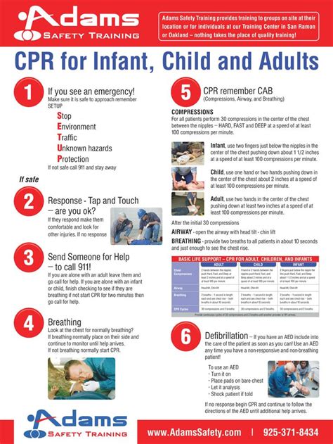 cpr  infant child  adults safety training pinterest