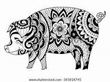 Zentangle Cochon Coloriage Animaux sketch template