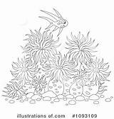 Anemone Sea Coloring Clipart Illustration Designlooter Bannykh Alex Royalty Anemones 75kb 420px sketch template
