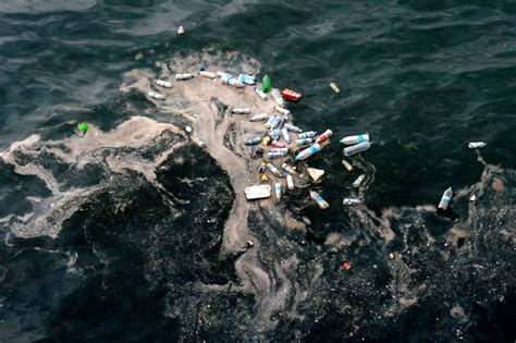 wwf middellandse zee verstikt  plastic afval de morgen