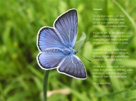 voor veel mensen staat de vlinder symbool voor overleden kinderen deze mooie vlinder doet mij