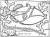 Coloring Hawaiian Pages Fish Colouring State Printable Kids Print Popular Coloringhome sketch template