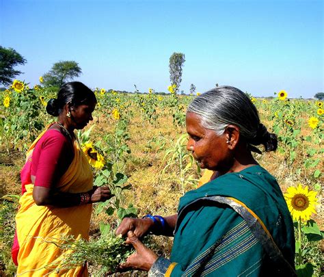 Dalit Women Farmers Inter Press Service Inter Press