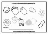 Colorear Para Frutos Secos Otoño Otono Del Imprimir Childrencoloring Guardado Desde Imágenes Tardor La sketch template