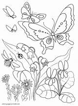 Coloring Pages Butterflies Butterfly Ladybug Bumblebee Printable Kids Print Insects Insect sketch template