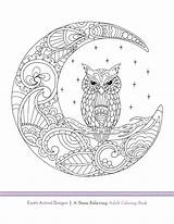 Colouring Exotic Packer Relieving Eule Owls Chouette Eulen Meditation Tiere Ausmalen Ausmalbilder Page01 Pergamano Relaxar Malvorlagen Designlooter Hibou sketch template