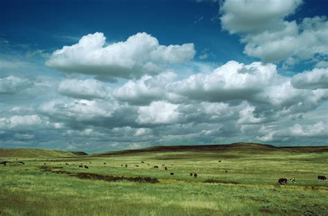 weather   grassland ecosystem sciencing