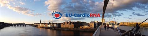 final call  eu cardiorna cost action meeting maastricht  poster abstracts deadline