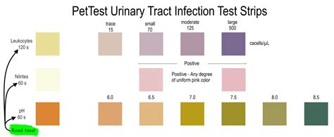 read urine test strips pettest  advocate