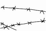 Barbed Barbwire Barb Transparent Pngimg Clipground Concertina Toppng Favpng sketch template
