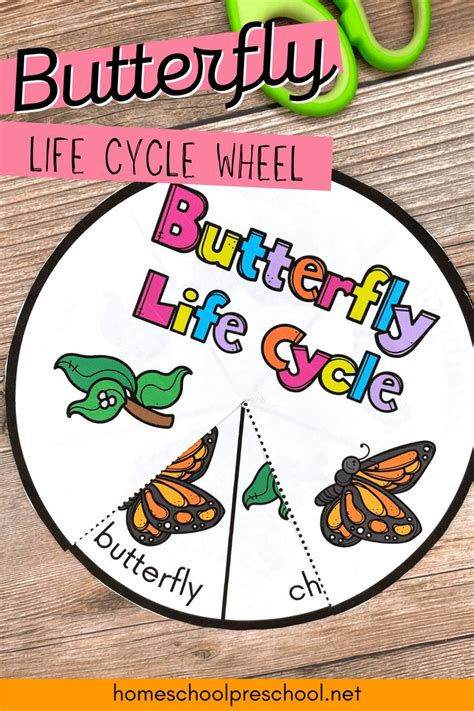 life cycle craft preschool teaching life cycle preschool lesson plans