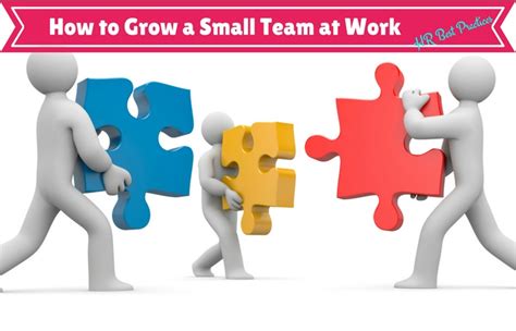 grow  small team  work  hr  practices wisestep