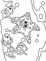 Sea Coloring Pages Animals Starfish Kids Cute Color Animal Ocean Printable Print Creatures Surgery Getcolorings Underwater Life Small Great Coloring2print sketch template