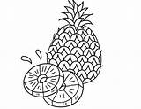 Abacaxi Pineapple Fruta Slice Tudodesenhos 출처 Colornimbus sketch template