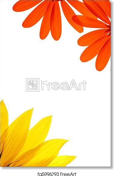 art print  blank white page decorated  natural flower