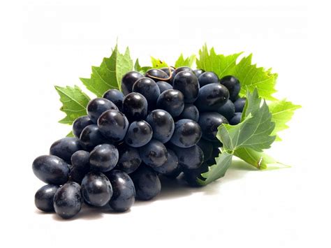 raisin noir  coco bio
