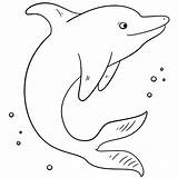 Golfinho Golfinhos Molde Comofazeremcasa sketch template