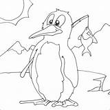 Pingouin Chilly Penguin Modeste Bébé Boyama Sayfalari sketch template