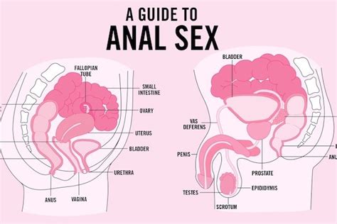 Gay Teen Vogue Editor Defends Mag S Anal Sex Guide
