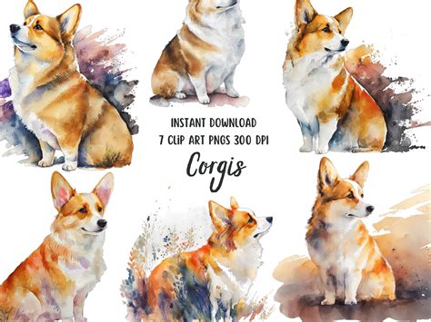 corgi clipart watercolor dogs png set graphic  patternexus creative