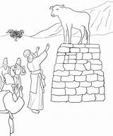 Calf Infoupdate Sinai Mount sketch template