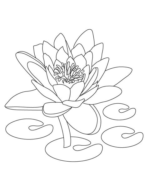 printable lotus coloring pages  kids lotus flower drawing