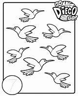 Diego Go Coloring Vogels Pages Tellen Kleurplaat Kleurplaten Van Printable Dora Zo Library Popular sketch template