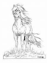Lena Furberg Pferde Icelandic Iceland Islandpferde sketch template