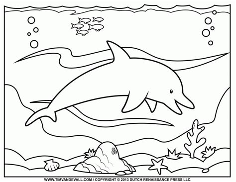 winter  dolphin coloring pages winter  dolphin coloring dolphin