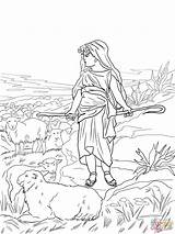 David Coloring Pages Shepherd Boy King Abigail Absalom Para Clipart Sheets Sketch Colorear Colouring Printable Color Goliath Print Drawing sketch template