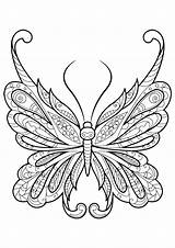 Moth Coloring Pages Getcolorings Printable Kids Print Color sketch template