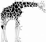 Giraffe Masai sketch template