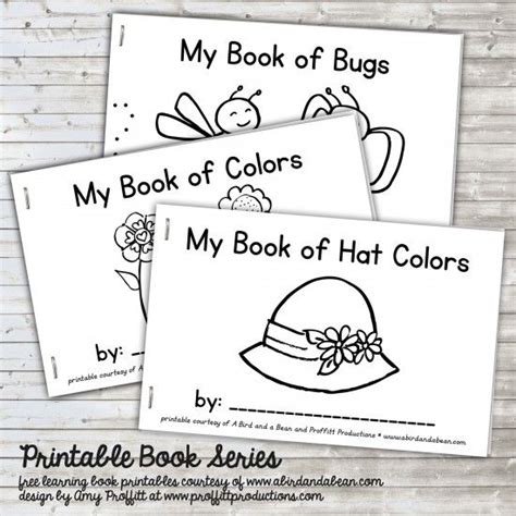 summer book series  printable kindergarten reading printable