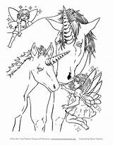 Fairy Coloring Fairies Unicorns Resources Flapper Caitlin sketch template