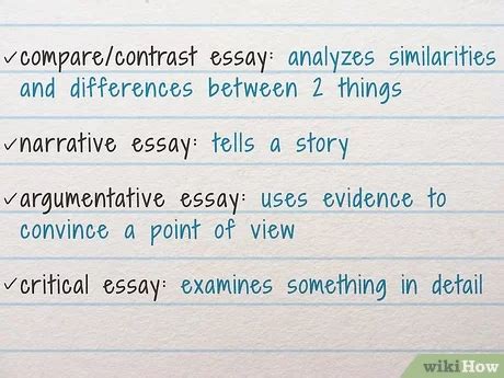 write essay  tips  write  essay   enjoy