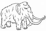 Para Colorear Coloring Pages Dibujos Neolitico Mammoth Mamut Del Imagen Resultado Historia sketch template