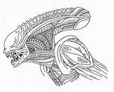 Alien Xenomorph Drawing Head Drawings Line Pages Coloring Aliens Sketch Cool Drawn Predator Getdrawings Xenomorphs Vs Queen Zen Giger Xeno sketch template