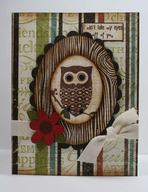 reference images owls ideas reference images owl cute owl