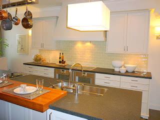 robin lechner interior designs trends  modern kitchen design