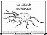 Islamic Pages Coloring Animals Kids Spider sketch template