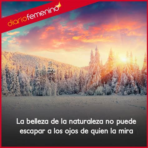frases sobre la naturaleza  espectaculo sin igual